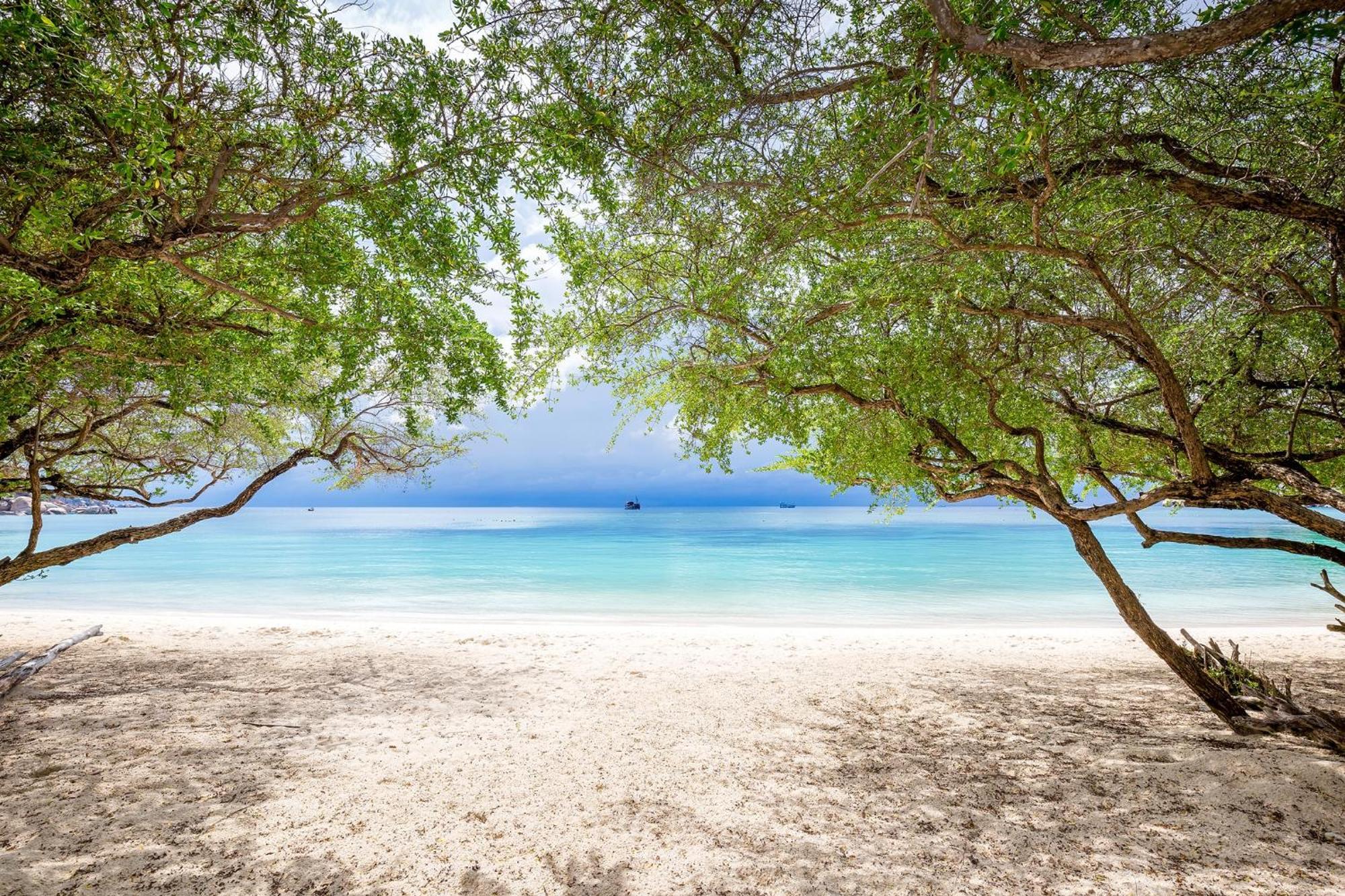 Beach Club By Haadtien Koh Tao Exteriör bild